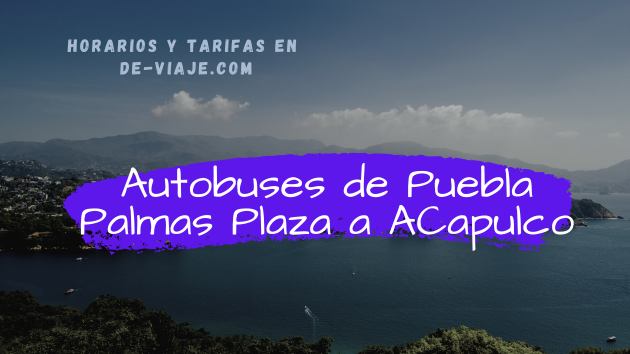 Autobuses de Puebla Palmas Plaza a Acapulco